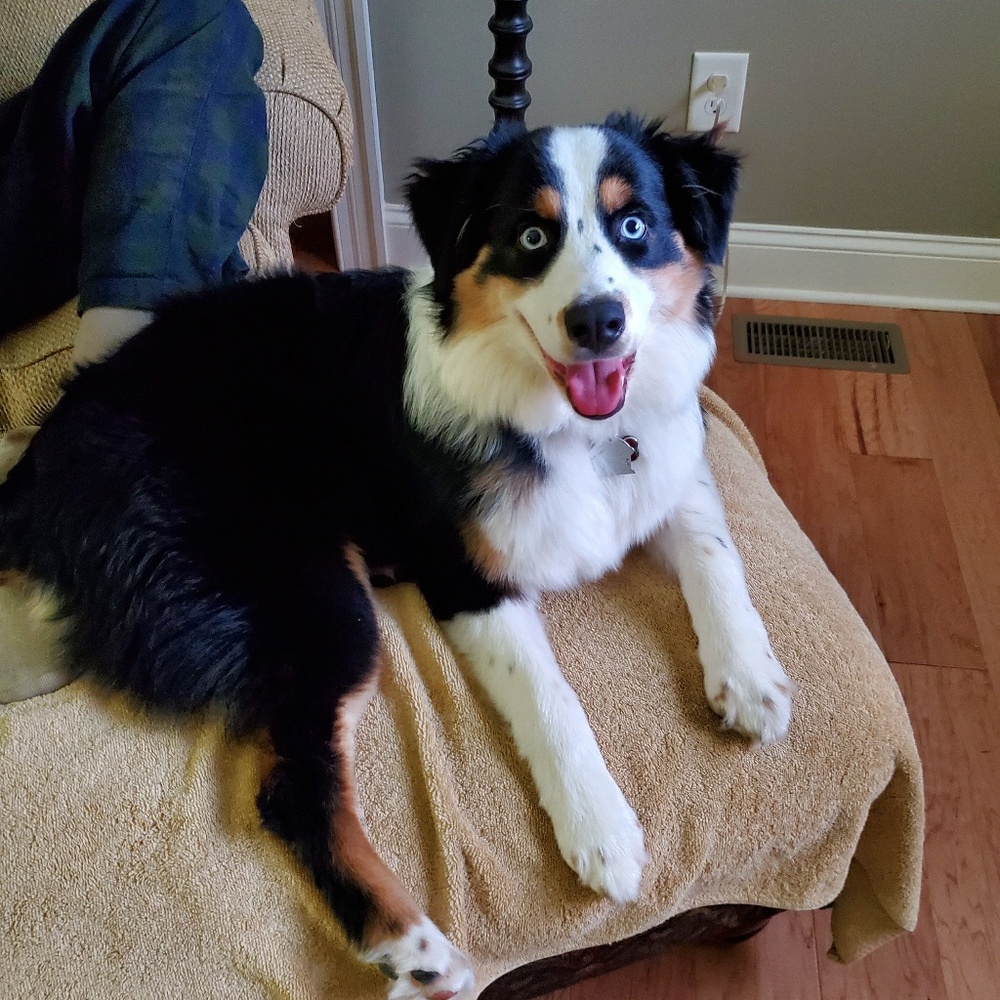 Meet your Posher, Liane